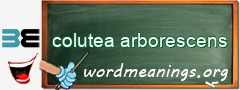 WordMeaning blackboard for colutea arborescens